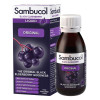Sambucol Самбукол сироп для імунітету Чорна бузина для дорослих та дітей від 3 років  (Original) 120 мл - зображення 1