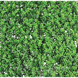 Engard Декоративное зеленое покрытие Самшит 50х50 см GCK-03