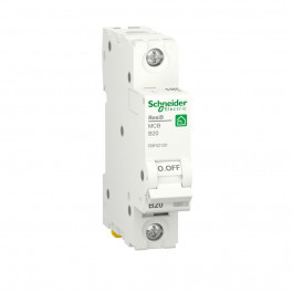   Schneider Electric Resi9 20 A, 1P, кривая В, 6кА (R9F02120)