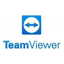 TeamViewer AddOn Channel Subscr Annual (S911)