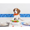 Petkit Fresh Pet Bowl White (P510) - зображення 4