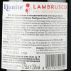 Riunite Вино ігристе  Lambrusco Emilia IGT Rosso, 0,75 л (8002550500254) - зображення 2