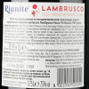 Riunite Вино ігристе  Lambrusco Emilia IGT Rosso, 0,75 л (8002550500254) - зображення 4