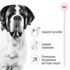 Royal Canin Giant Adult 15 кг (3009150) - зображення 9