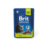 Brit Premium Cat Lamb for Sterilised 100 г (111831) - зображення 1