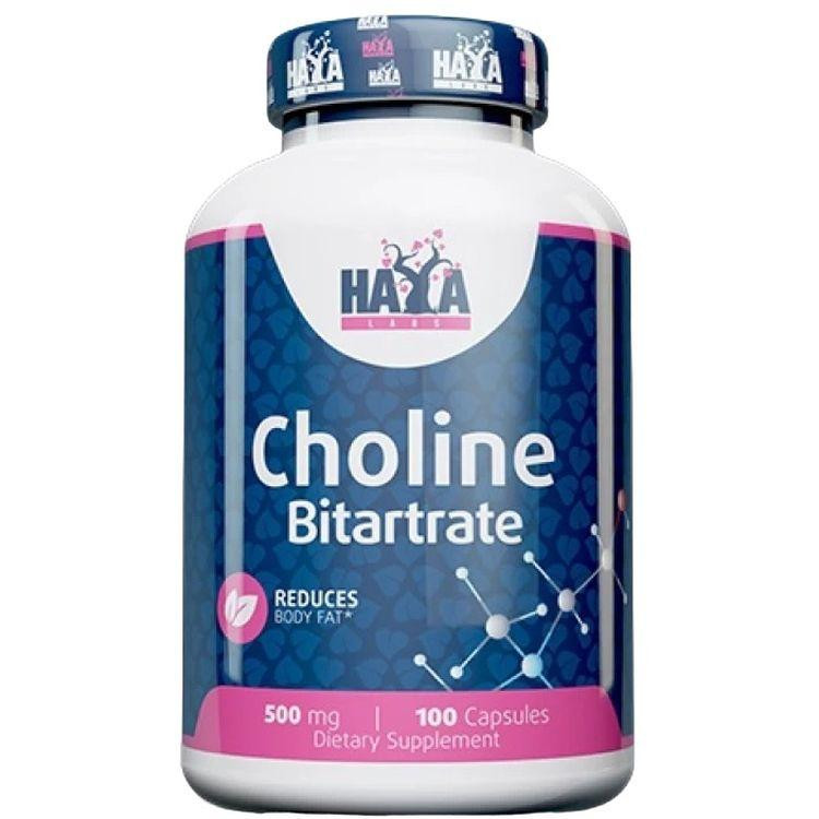 Haya Labs Choline Bitartrate 500 мг 100 капсул - зображення 1