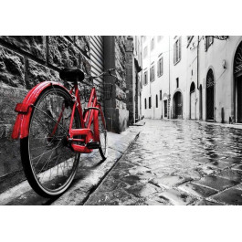 DecoArt Велосипед в переулке (11675-P8)