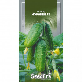 ТМ "SeedEra" Насіння  огірок Муравей F1 10 шт.