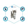Advance Cat Kitten с курицей и рисом 0,4 кг (8410650151885) - зображення 5