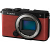 Panasonic Lumix DC-S9 Crimson Red Body (DC-S9E-R) - зображення 2