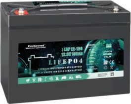   EverExceed LDP 12-100 (12.8V100AH)