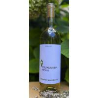 Frumushika Nova Вино Фрумушика Нова Цитронний магарач біле сухе 11.5 % 0.75 л (BWT7022) - зображення 1
