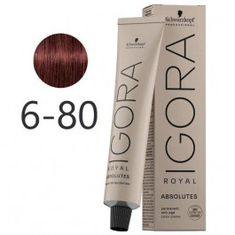 Schwarzkopf Перманентна крем-фарба для волосся  Igora Royal Absolutes 6-80 Dark Blonde Red Natural 60 мл (404578