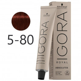   Schwarzkopf Фарба для волосся  Igora Royal Absolutes 5-80 Червоний натуральний 60 мл (4045787282337)