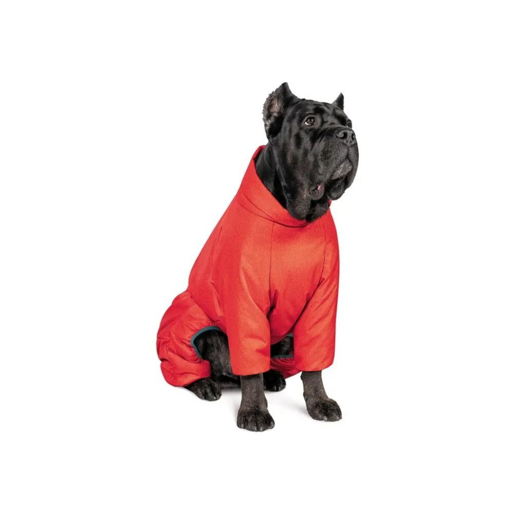 Pet Fashion Комбінезон для собак  «COLD» S-2 такса (червоний) (PR242615) - зображення 1