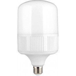   DeLux LED BL 80 50W E40 6500K (90020124)