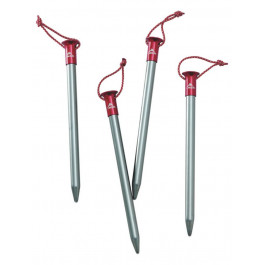 MSR Core Stakes (09563)
