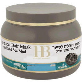 Health & Beauty Маска  для сухих поврежденных волос с грязью Мертвого моря 250 мл (7290014043565)