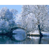 STRATEG Картина за номерами ПРЕМІУМ Зимове озеро з лаком та з рівнем розміром 40х50 см GS1587 - зображення 1