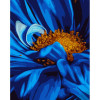 STRATEG Картина за номерами ПРЕМІУМ Золота середина квітки з лаком та з рівнем розміром 40х50 см GS1490 - зображення 1