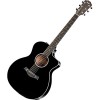 Taylor 214ce BLK DLX - зображення 1