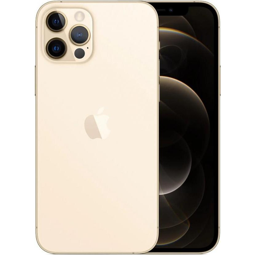 Apple iPhone 12 Pro 256GB Gold (MGMR3/MGLV3) - зображення 1