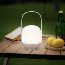 Xiaomi Youpin Chao Portable Camping Lamp (YC-YDFS01/3278983)
