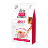 Brit Care Cat GF Adult Activity Support 2 кг 171298/0822 - зображення 1