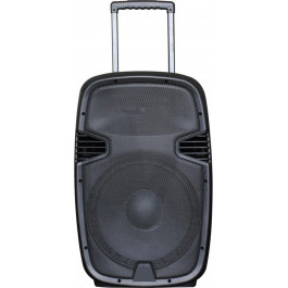 BIG JB12RECHARGE350+MP3/Bluetooth+20V INVERTER+2pcs VHF mic