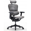 Comfort Seating ERGOHUMAN SE Black - зображення 1