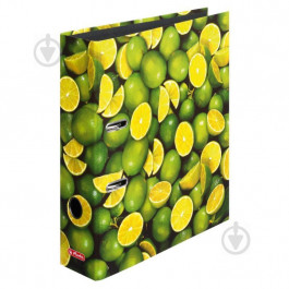 Herlitz Папка-регистратор World of Fruit Lime А4 8 см 10485134