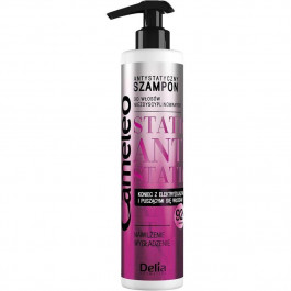  Delia Cosmetics Антистатичний шампунь для неслухняного волосся  Cameleo Anti-Static 250 мл (5906750803746)