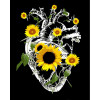 STRATEG Картина за номерами ПРЕМІУМ Серце серед соняхів на чорному фоні розміром 40х50 см AH1028 - зображення 1