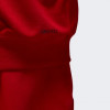 Jordan Червона чоловіча кофта  M J DF SPRT CSVR FLC PO DQ7327-687 - зображення 7