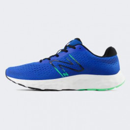   New Balance Чоловічі кросівки для бігу  520 V8 M520RG8 41.5 (8US) 26 см Синій/Зелений (197375617893)