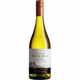 Castillo de Molina Вино Chardonnay белое сухое 0.75 л 13-14% (7804300010508)