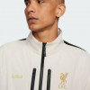 Nike Бежевий чоловічий спортивний костюм  LJ LFC M NK DF TRKSUIT FN7132-104 - зображення 4