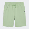 PUMA Зелені чоловічі шорти  DOWNTOWN Shorts 8" TR 624366/89 - зображення 6