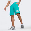 PUMA Бірюзові чоловічі шорти  ESS+ PALM RESORT Shorts 10" TR 683003/86 - зображення 1