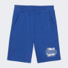 PUMA Сині чоловічі шорти  ESS+ PALM RESORT Shorts 10" TR 683003/17 - зображення 4