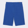 PUMA Сині чоловічі шорти  ESS+ PALM RESORT Shorts 10" TR 683003/17 - зображення 5