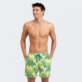   Arena Зелені чоловічі шорти  BEACH SHORT ALLOVER are005980-610