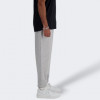 New Balance Сірі чоловічі спортивнi штани  Pant NB Small Logo nblMP41519AG - зображення 2