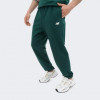 New Balance Зелені чоловічі спортивнi штани  Pant NB Small Logo nblMP41519NWG - зображення 1