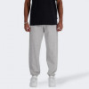 New Balance Сірі чоловічі спортивнi штани  Pant NB Small Logo nblMP41519AG - зображення 1