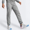 PUMA Сірі чоловічі спортивнi штани  BMW MMS ESS Pants Fleece 621302/03 - зображення 1