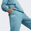 PUMA Сині чоловічі спортивнi штани  PL ESS Pants 621030/02 - зображення 4
