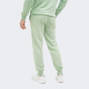 PUMA М&apos;ятні чоловічі спортивнi штани  ESS+ 2 Col Logo Pants TR cl 586768/94 - зображення 2