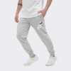 PUMA Світло-сірі чоловічі спортивнi штани  POWER Graphic Sweatpants TR cl 678936/04 - зображення 1