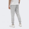 PUMA Світло-сірі чоловічі спортивнi штани  POWER Graphic Sweatpants TR cl 678936/04 - зображення 2
